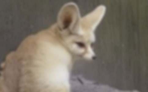 ���˲���ĺ�؂�ְ֡��x���15ƪ����(y��u)��