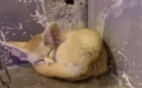 ����؂�͞��f���̌W(xu��)�O(sh��)Ӌ(j��)