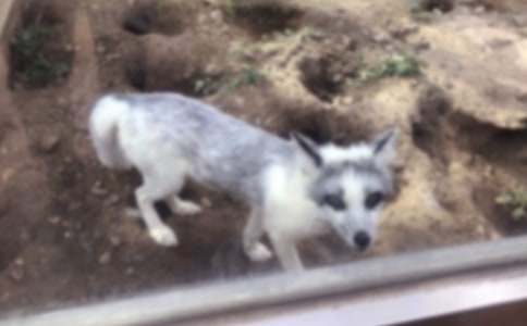 С��؂����С�W(xu��)����