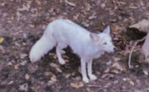 ��؂�͞��f����