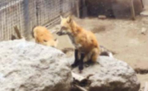 ��؂�͞��f����(�ϼ�15ƪ)