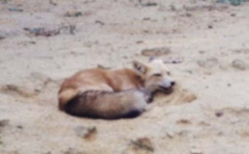 ���˲���ĺ�؂�ְ֡��x���(�ϼ�)