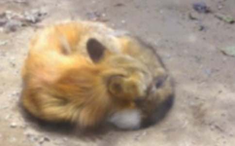 �˲���ĺ�؂�ְ��x���