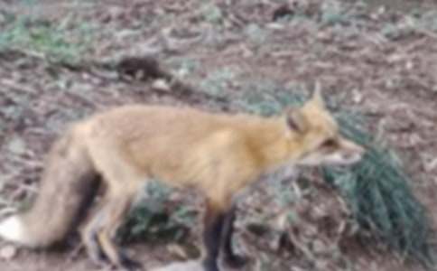 С��؂�ĕ�(sh��)���x���Ư���ĕ�(sh��)��