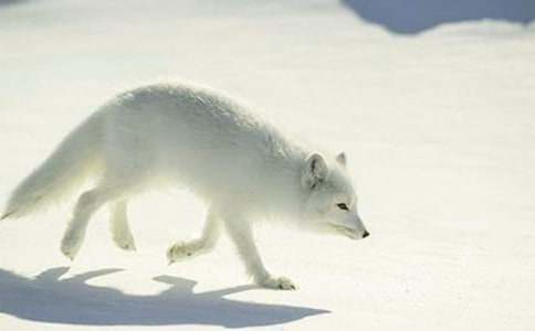 ����(sh��)�á����f�ͺ�؂����300����ƪ