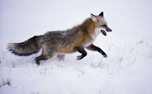 ��؂�͞��f���u�n��