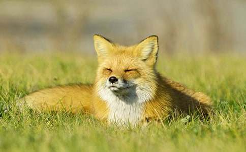 �L�����½̌W(xu��)�O(sh��)Ӌ(j��)����؂�ְ������ӡ������x3ƪ��