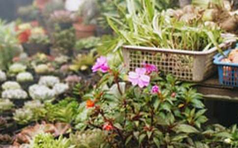 ����Ʒ�����ꄓ(chu��ng)�I(y��)Ӌ����