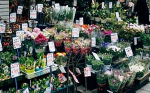 [�ϼ�]���ꄓ(chu��ng)�I(y��)Ӌ(j��)����(sh��)15ƪ