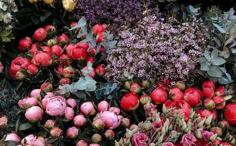 ���P(gu��n)���ꄓ(chu��ng)�I(y��)Ӌ(j��)����