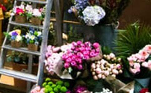 �����x�����ꄓ(chu��ng)�I(y��)Ӌ(j��)����