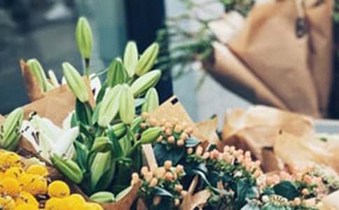 ���������V���Z