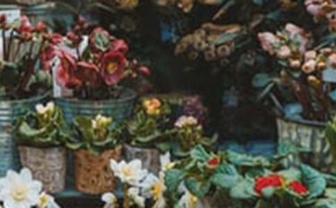 ����ȥ�������� �з����]��