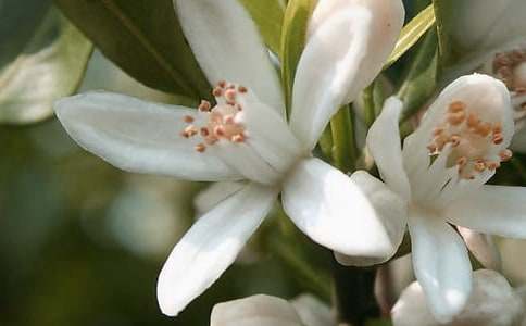 �B�ǘ�Ļ���̌W(xu��)�O(sh��)Ӌ