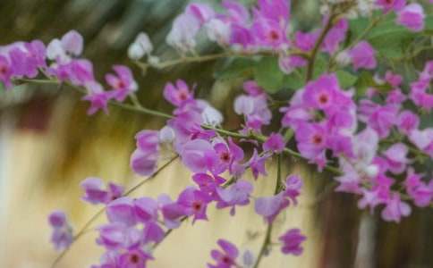 �Ҳ��Ǵ����Ļ�������