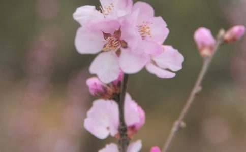 �_��ӛ����Ļ������ġ����á�