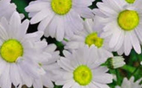 �_��ӛ����̎�Ļ���