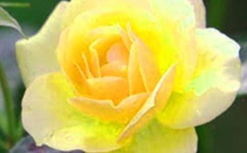 �ֹ��������w�����R��