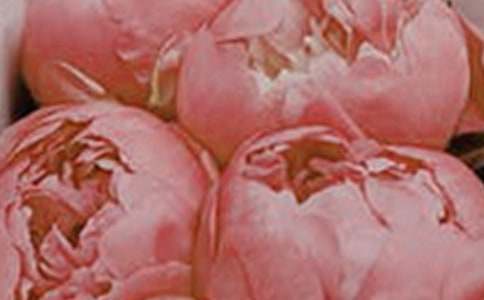 �_(k��i)��ӛ����̎�Ļ�������11ƪ