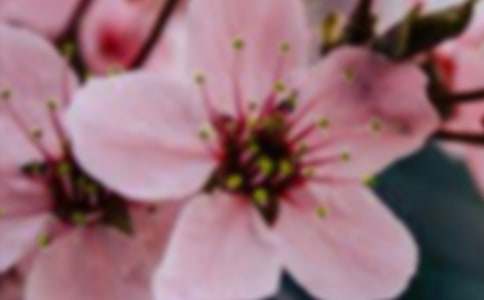 �_��ӛ����Ļ������ĳ�һ-������