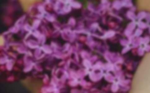 �m����Ļ���