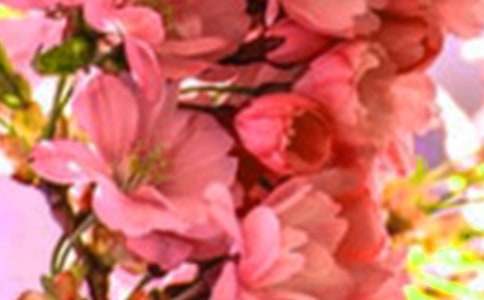 ɢ���S�P����(��i)�������`��̎�����Ļ��䡹