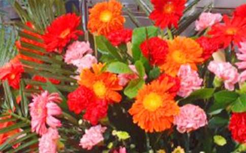 �ҵ�С���������@