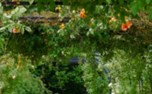 ���˵Ļ��@�u(p��ng)�n��