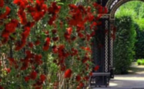 ���˵Ļ��@�u�n��6ƪ�����á�