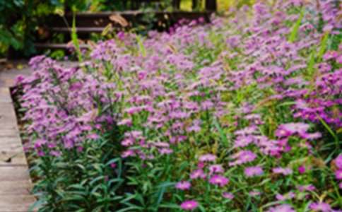 j���˵Ļ��@�̌W(xu��)�O(sh��)Ӌ