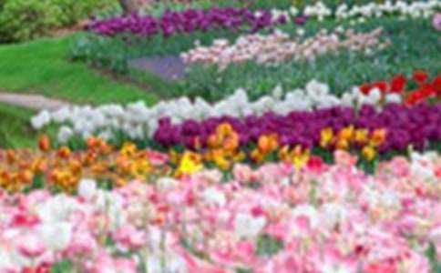 ���˵Ļ��@�u(p��ng)�n��8ƪ