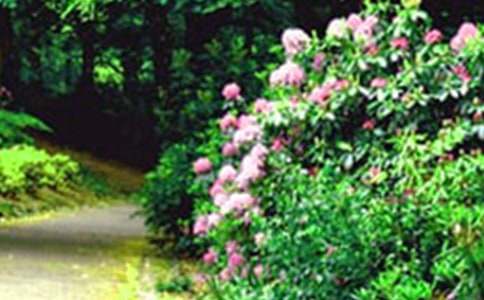 ���@�����o�Ѿ��o���᣿