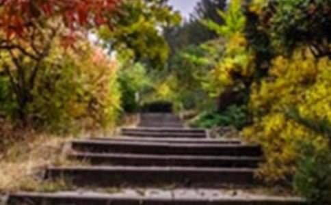 ���˵Ļ��@�x���