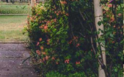 ���˵Ļ��@�̌W�OӋ