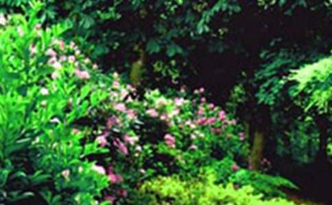 �����Ļ��@����