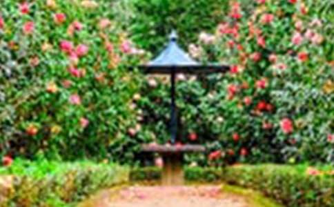 �����˵� ���@���u(p��ng)�n��