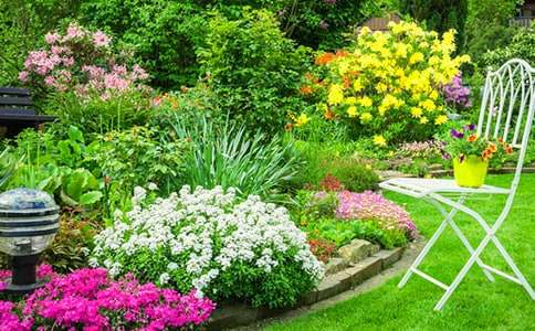 ���˵Ļ��@�u�n�弯�\