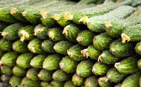 �x���S�χ������и�