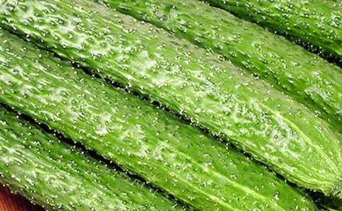 �����u�S�ϵ�����