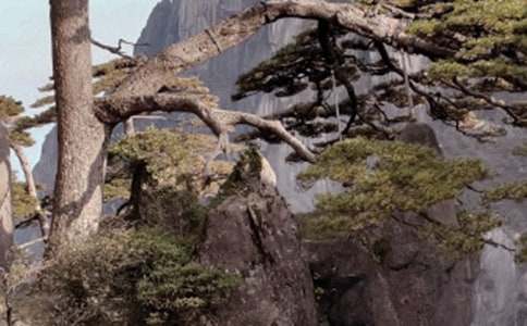 �P(gu��n)�ڰ����Sɽ3���ε����ι���