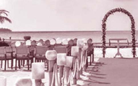 �ְ��ڃ��ӻ�Y�ϵ��vԒ��