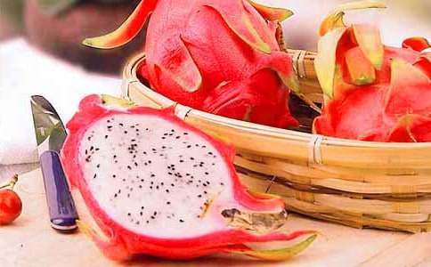 ���������ąR����15ƪ��