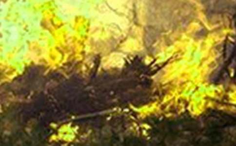 �l(xi��ng)�(zh��n)ɭ�ֻ�������䌍��r�R���ģ�ͨ��18ƪ��