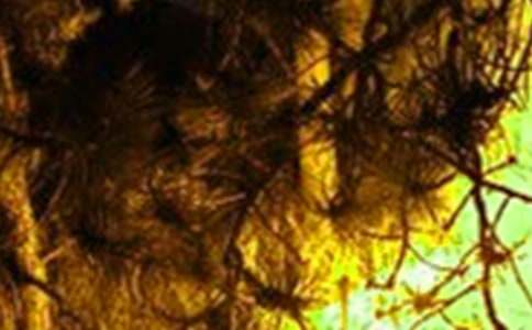 �������(z��i)ͨ��