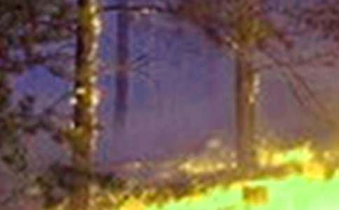 �A����ć������vԒ