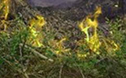 С�W(xu��)���A(y��)�����(z��i)���v�巶��