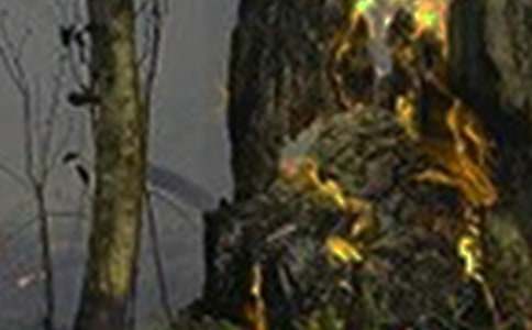 ��W(xu��)���һ��(z��i)ͨ��