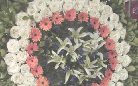 ��������Ă���ɢ��