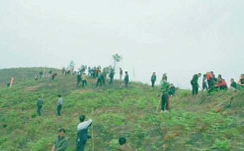 ���湝(ji��)����(x��)��