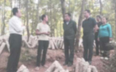 �o(j��)�z���W(xu��)�ڹ���Ӌ��